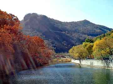 新澳天天开奖资料大全旅游团，阿里旺旺分销平台